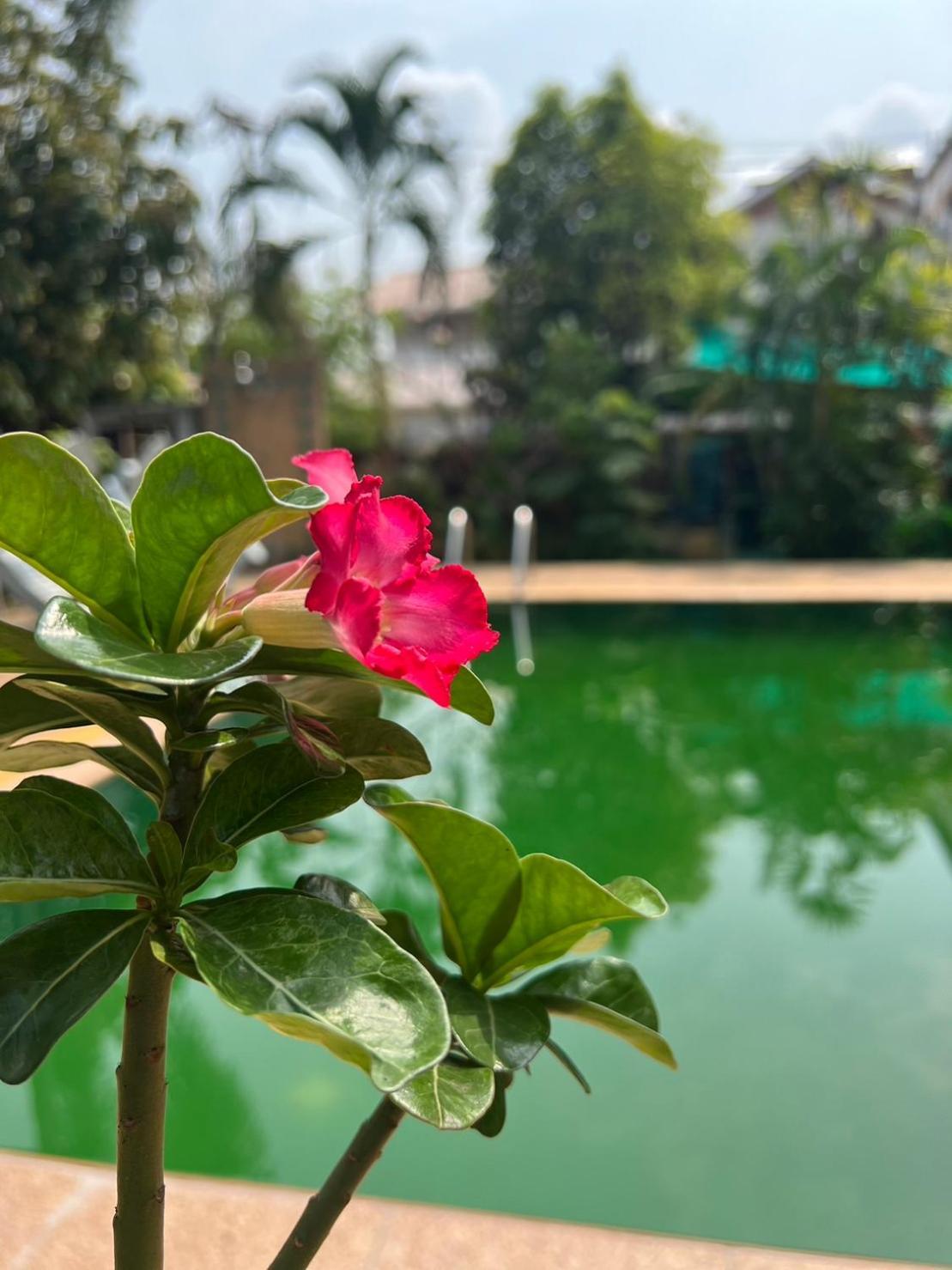 The Royal Shilton Resort Chiang Mai Zewnętrze zdjęcie
